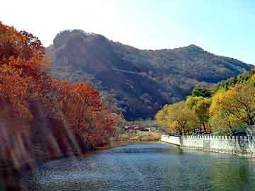 新澳天天开奖资料大全旅游团，邻二氯苯